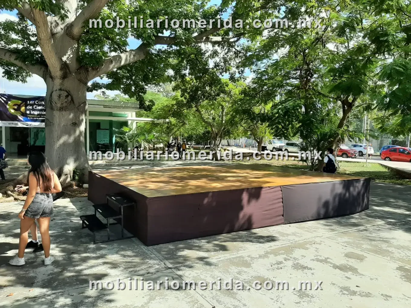 Renta de Tarima elevada para eventos, Tarima de piso y elevada en Mérida