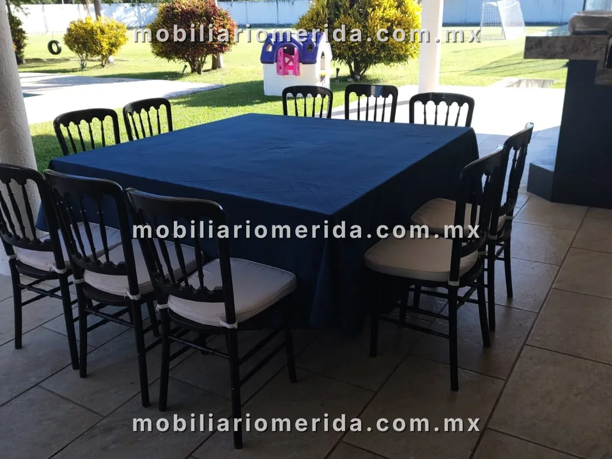 renta de mesas y sillas tiffany: Mesa rectangular con 10 sillas plegables, Sillas Tiffany en Mérida